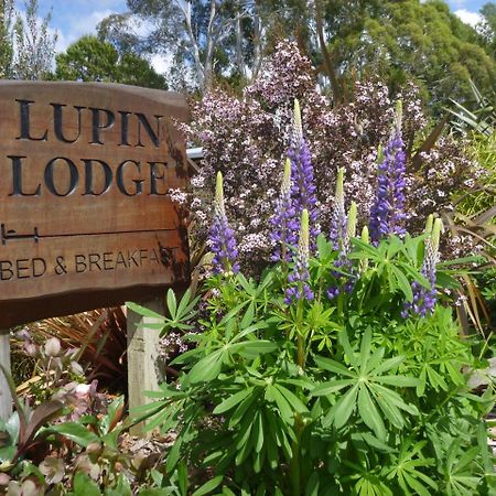 Lupin Lodge Bed & Breakfast Taupomeer Buitenkant foto