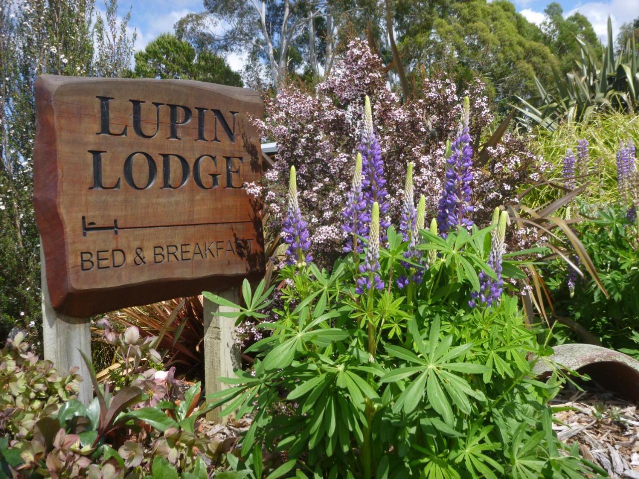 Lupin Lodge Bed & Breakfast Taupomeer Buitenkant foto